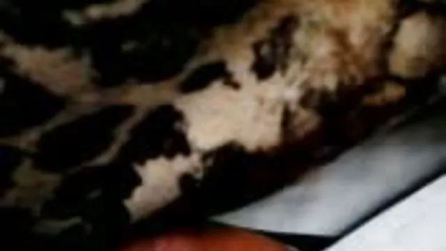 الإباحية بدون تسجيل ناضجة عربي زب كبير الهواة أو