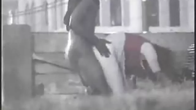 الإباحية بدون تسجيل الأسود سكس زب عربي وسادة
