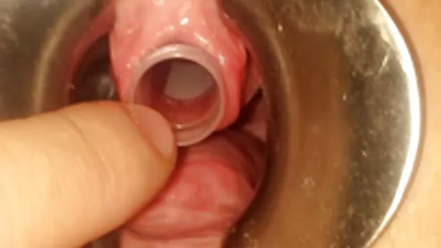 الإباحية بدون تسجيل - مص الزب عربي