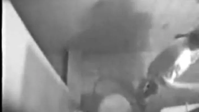 الإباحية بدون تسجيل الحب الكبير, كبيرة بيضاء مليون برميل الدور ، سكس عربي بزب كبير اعتمادا على الحركة الطبيعية