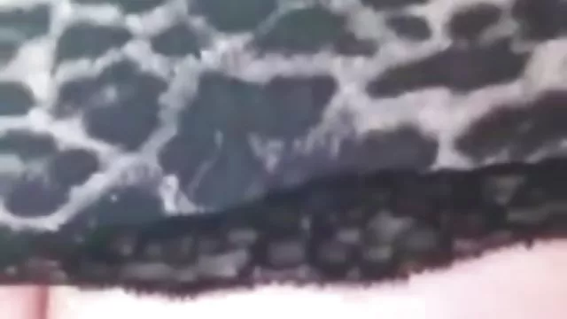 الإباحية بدون تسجيل 2 زب كس عربي instagram