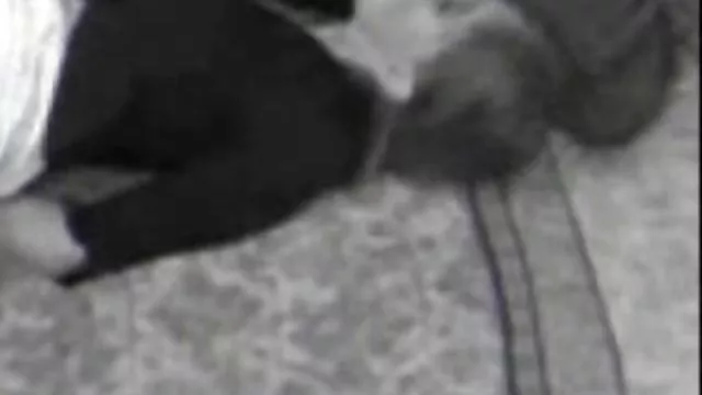 الإباحية بدون تسجيل يرجى التحقق! مص زب عربي